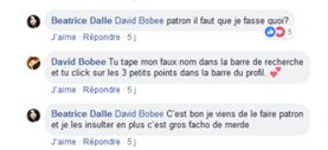 dalle-boboee-mangusta