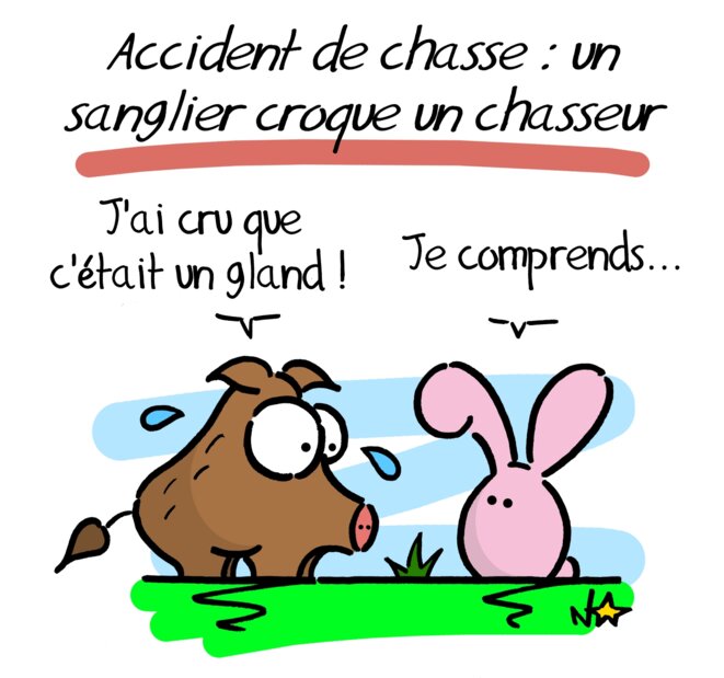 Accident de chasse