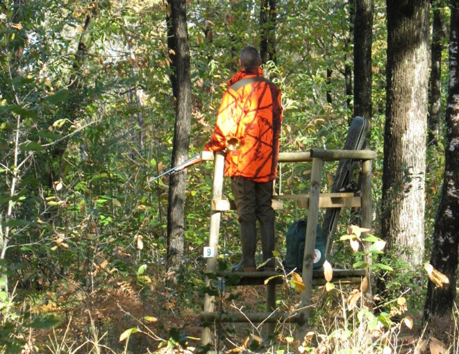 La pratique de la chasse et les accidents parfois mortels qui défraient régulièrement la chronique sont au coeur du manifeste signé par 76 associations de défense des animaux. Et de la sécurité des Français(e)s. © Reproduction interdite La pratique de la chasse et les accidents parfois mortels qui défraient régulièrement la chronique sont au coeur du manifeste signé par 76 associations de défense des animaux. Et de la sécurité des Français(e)s. © Reproduction interdite