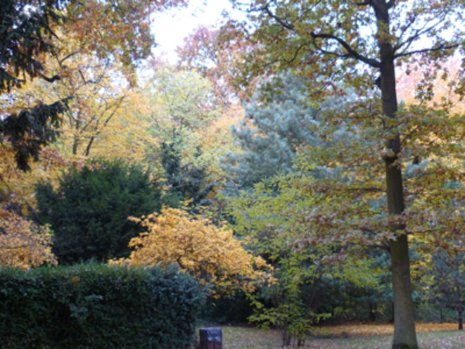Le parc de Notre Dame de Sion en automne ... Le parc de Notre Dame de Sion en automne ...