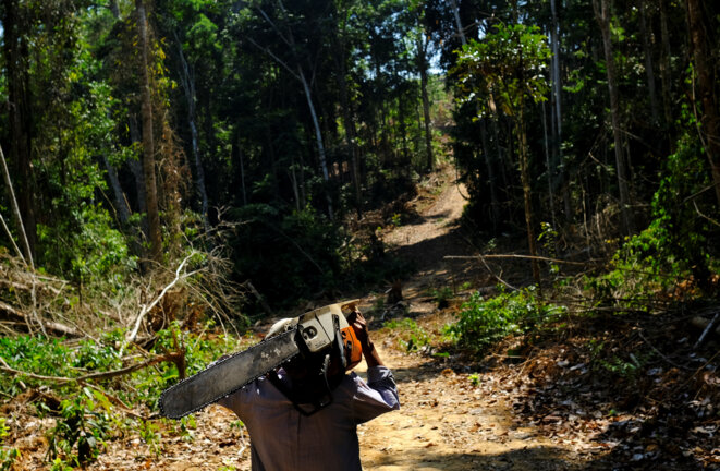 Avec Bolsonaro, la déforestation pourrait repartir de plus belle. © Reuters Avec Bolsonaro, la déforestation pourrait repartir de plus belle. © Reuters