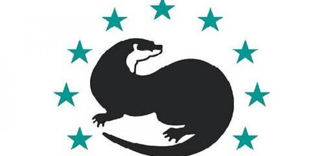 Loups : la France et l'Europe  prolongent sa surprotection