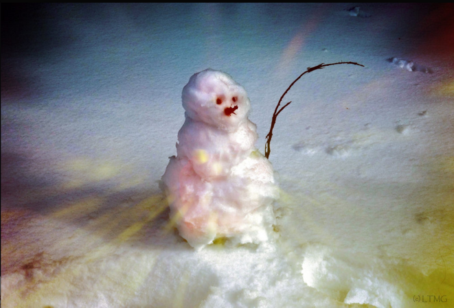 The happiest snowman on Earth © Luna TMG The happiest snowman on Earth © Luna TMG
