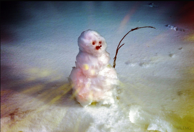 The happiest snowman on Earth © Luna TMG