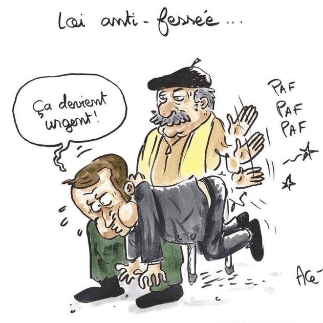© Acé © Acé