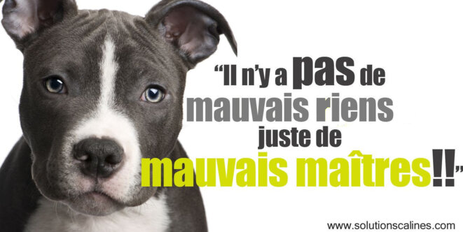 pas-de-mauvais-rien-juste-mauvais-maitre