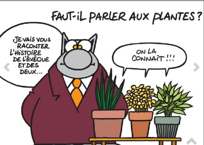 geluck-parle-aux-plantes