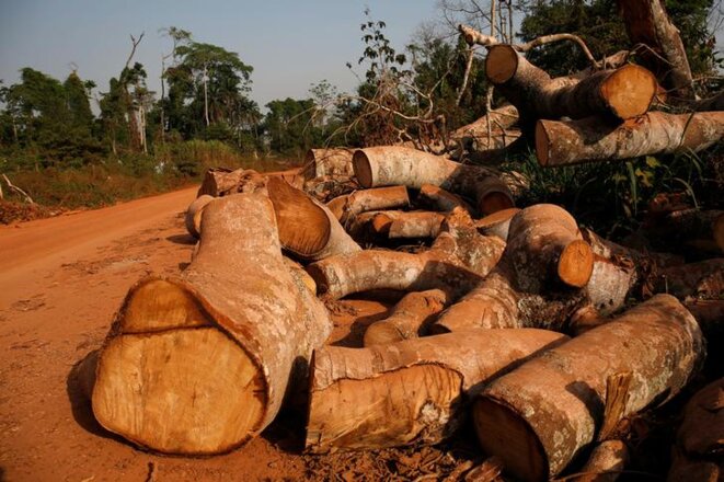Dans la réserve forestière du Scio en Côte d'Ivoire, le 9 février 2018. © Reuters Dans la réserve forestière du Scio en Côte d'Ivoire, le 9 février 2018. © Reuters