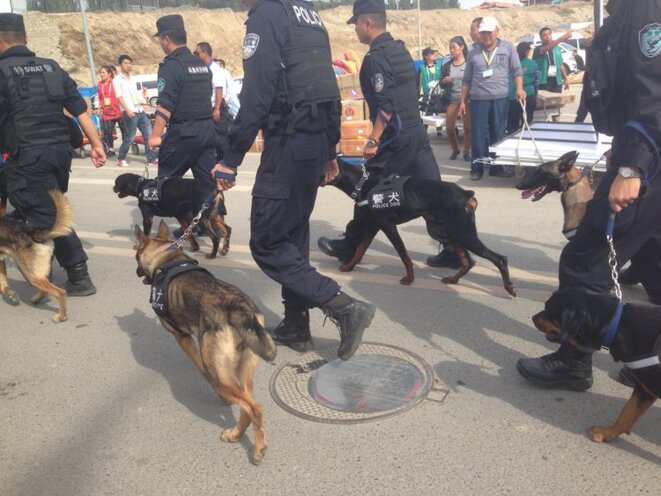 Officiers de l'unité tactique de la police et chiens policiers dans les rues d'Urumqi, Xinjiang. © Voxeros/Flickr Officiers de l'unité tactique de la police et chiens policiers dans les rues d'Urumqi, Xinjiang. © Voxeros/Flickr