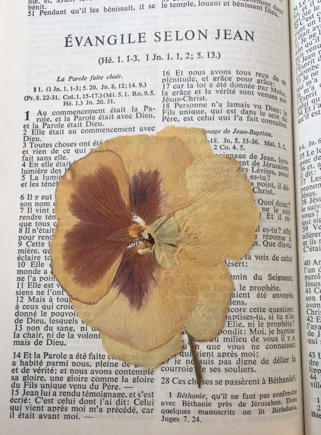 fleur