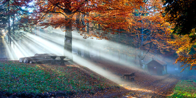 (5) Frantisek Zvardon meets... Esther Heboyan