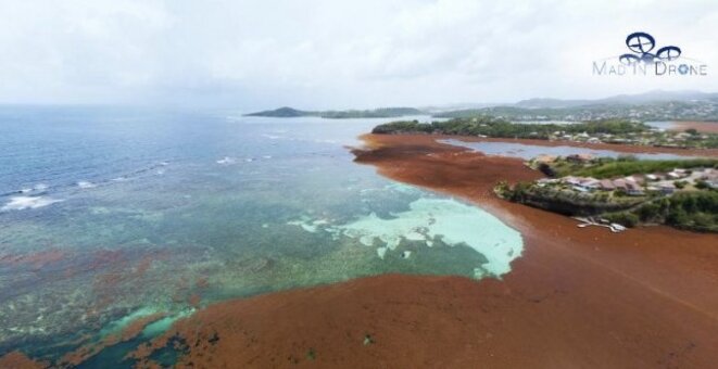 © Collectivité territoriale de Martinique. © Collectivité territoriale de Martinique.