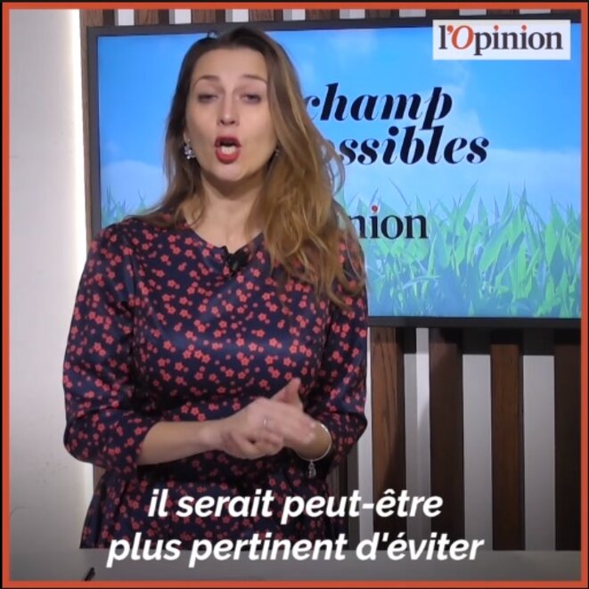 Le LUNDI VERT : décryptage d'un "décryptage"