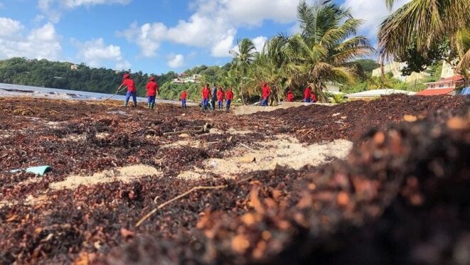 © martinique2030.com © martinique2030.com
