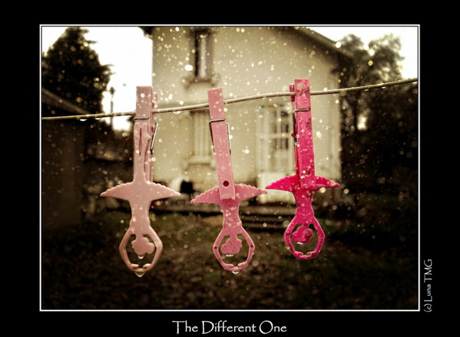The different one © Luna TMG