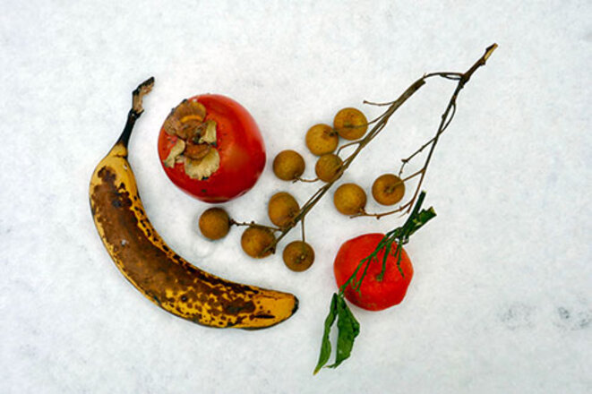 fruits