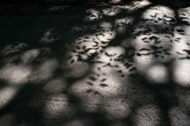 Manuela Marques, l'empreinte de la pluie