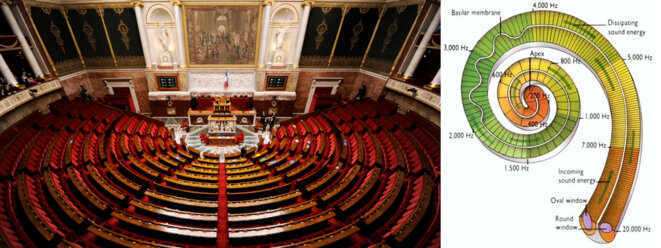 L'Assemblée Nationale et la Cochlée L'Assemblée Nationale et la Cochlée
