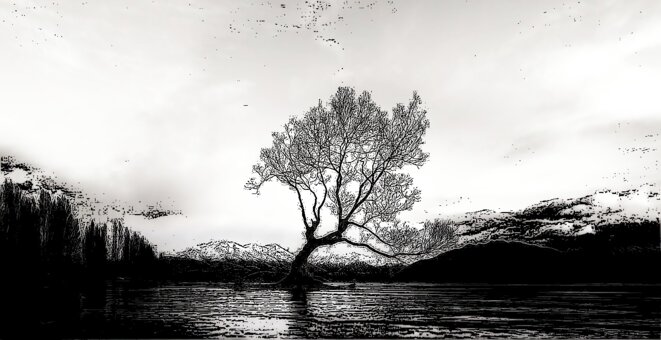 solitude-accompagnee
