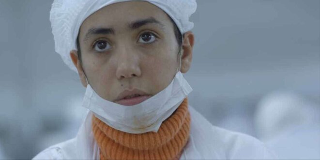 Nous ne sommes pas des crevettes : la lutte d'une jeunesse marocaine