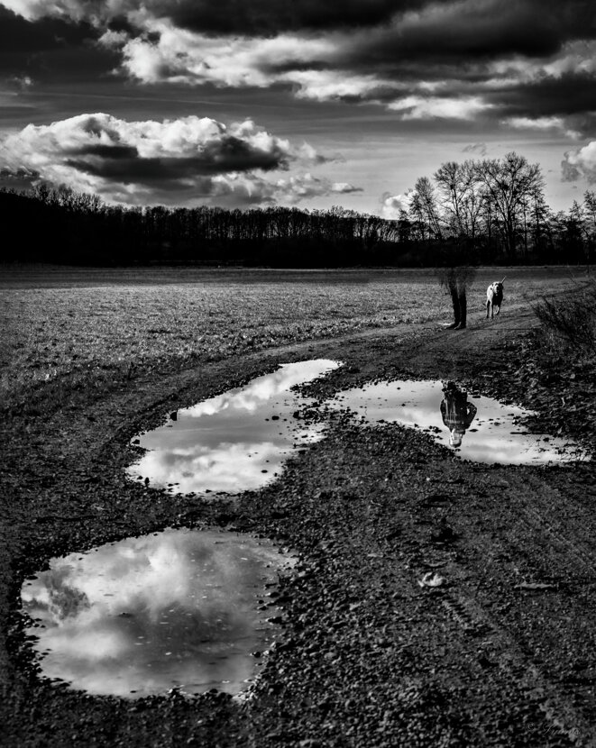 reflet-1