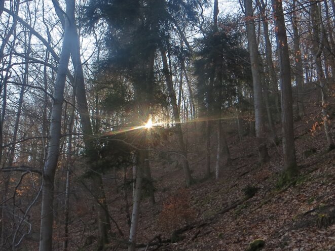 reflets-soleil-2