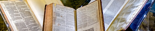 bibles
