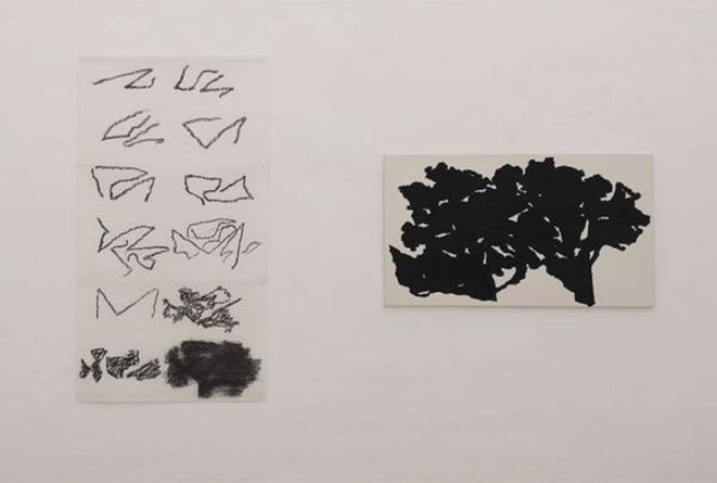 Alexandre Hollan, L'invisible est le visible au Musée Fabre, Salle 1 Alexandre Hollan, L'invisible est le visible au Musée Fabre, Salle 1