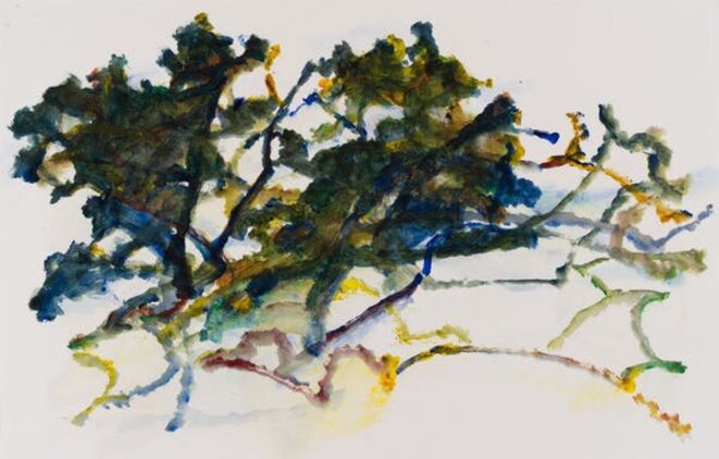 Le déchêné, acrylique sur papier, 2014 Le déchêné, acrylique sur papier, 2014