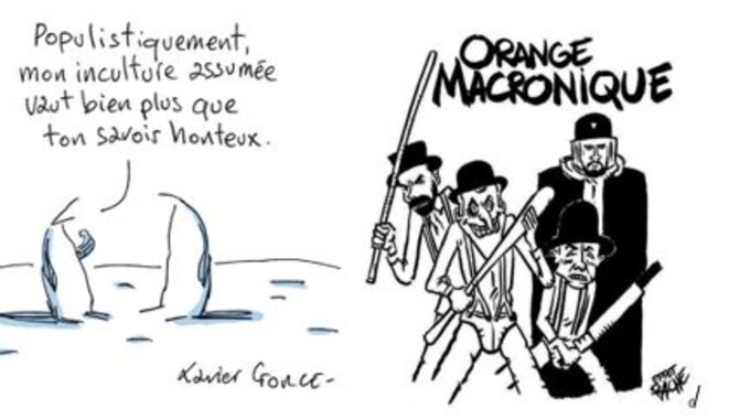 inculture-et-orange-macronique