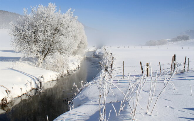 La Bourne, rivière de givre © Patrice Morel (janvier 2019) La Bourne, rivière de givre © Patrice Morel (janvier 2019)