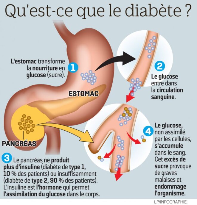 Plus de 350 millions de personnes sont aujourd'hui ...
