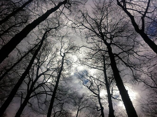 Les griffeurs de nuages