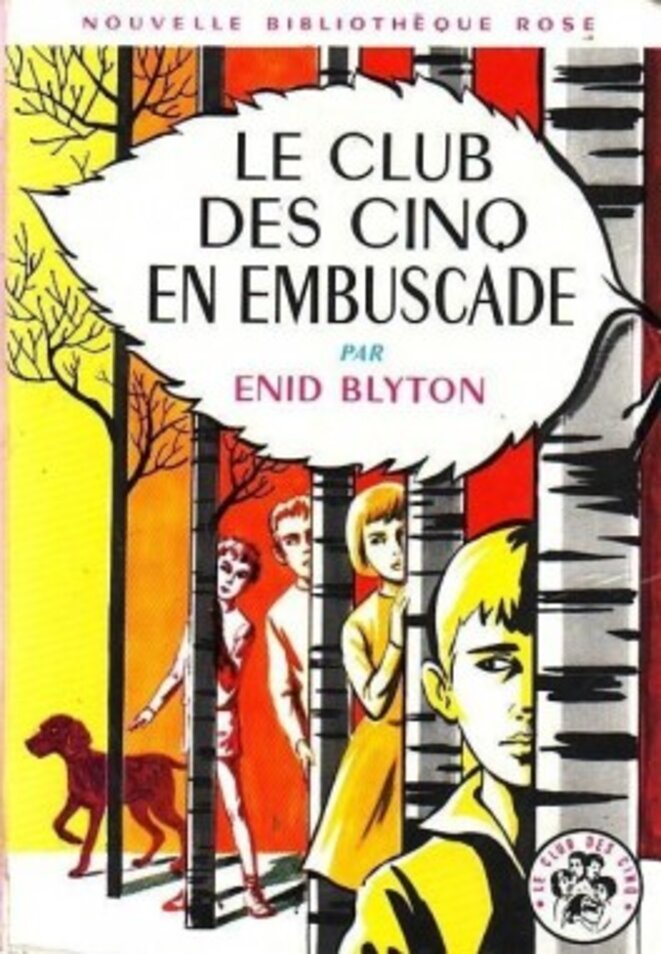 le-club-des-cinq-en-embuscade-449374-264-432