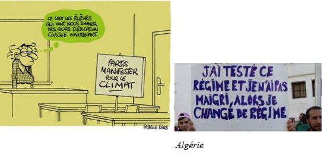cilets-jaunes-3