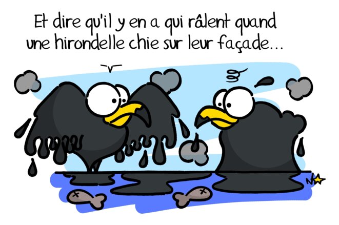 Naufrage du Grande America