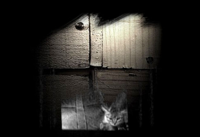 chat