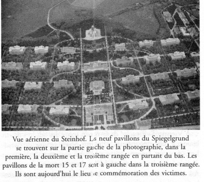 L'endroit où ne travaillait pas Hans Asperger © Extrait Edith Sheffer : "Les enfants d'Asperger" L'endroit où ne travaillait pas Hans Asperger © Extrait Edith Sheffer : "Les enfants d'Asperger"