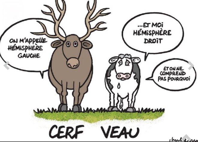 on-mappelle-cerveau-doit-moi-gauche-et-on-ne-sait-pas-pourquoi