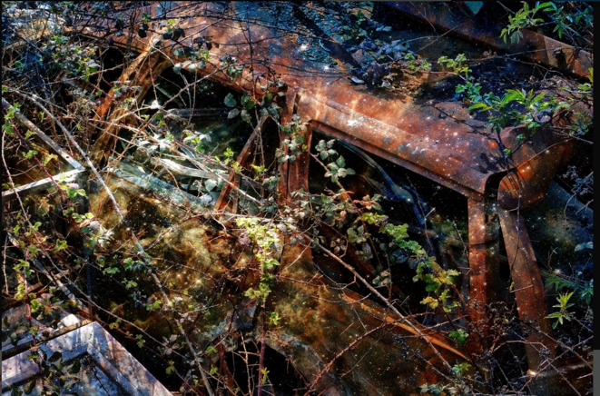Mother Nature's Rules © Luna TMG Mother Nature's Rules © Luna TMG