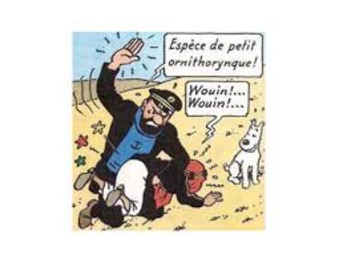 fesse-e-abdallah