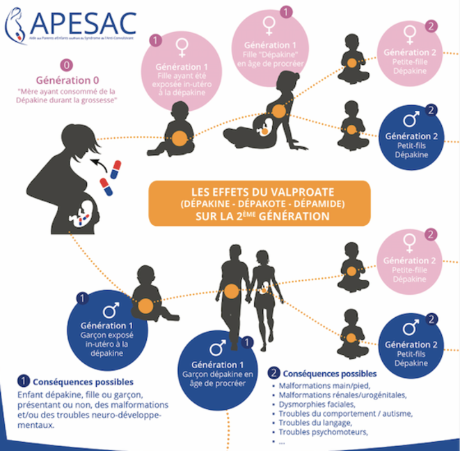 sche-ma-apesac