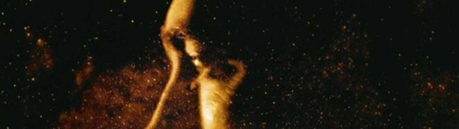High Life (2019), film de Claire Denis avec Robert Pattinson High Life (2019), film de Claire Denis avec Robert Pattinson