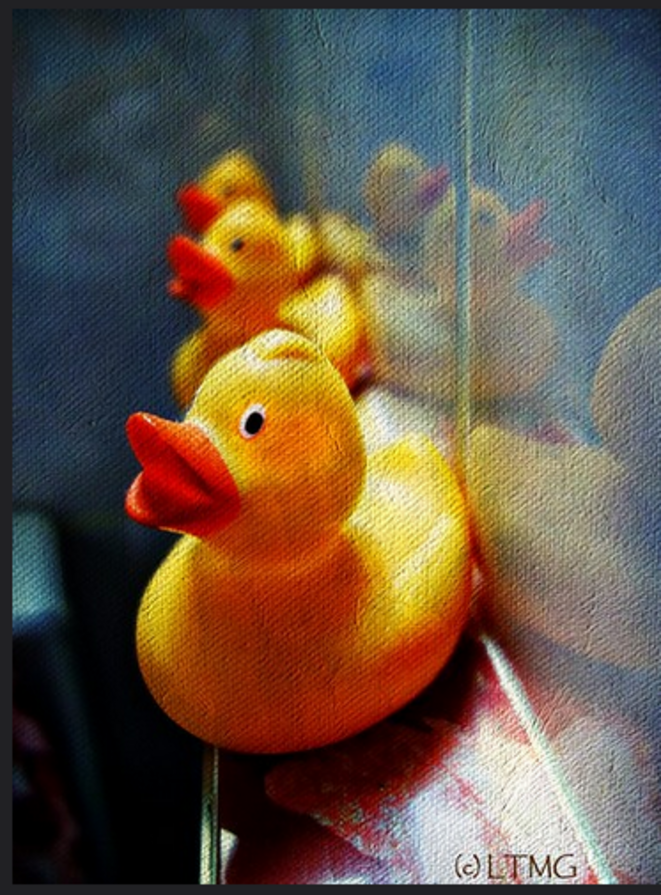Duck you © Luna TMG Duck you © Luna TMG