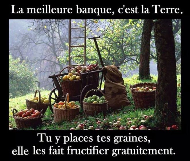 la-meilleure-banque-c-la-terre