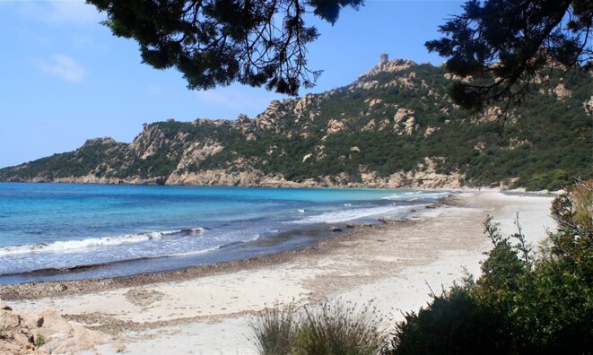Plage de Roccapina en Corse du sud © Patrice Morel (mai 2019) Plage de Roccapina en Corse du sud © Patrice Morel (mai 2019)