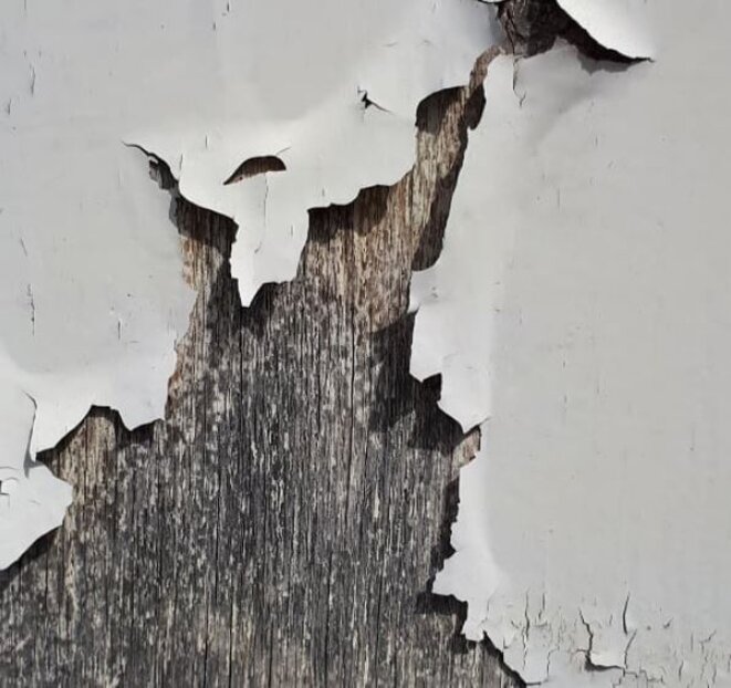 La poésie : Eric Dubois.