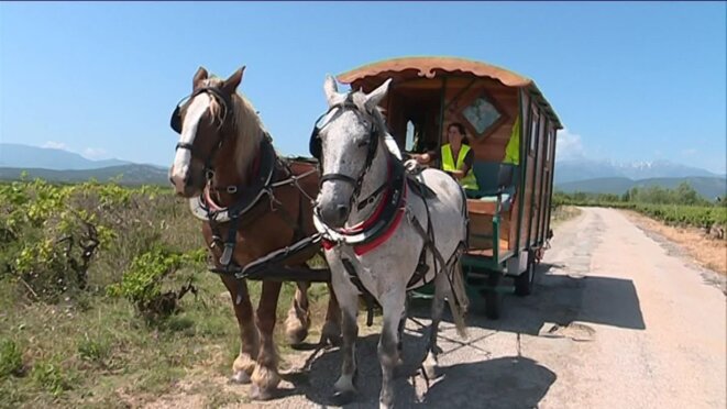 perp-tour-de-france-cheval-roulotte-00-00-03-01-4282004