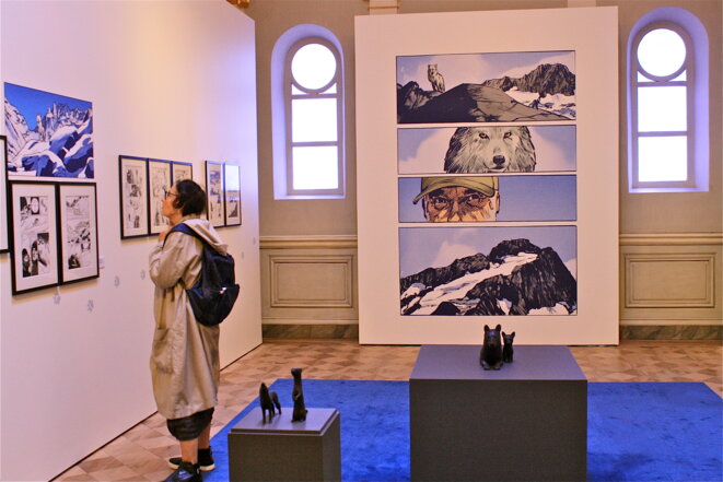 Toiles et planches de Rochette au musée de l'évêché à Grenoble © Patrice Morel (juin 2019) Toiles et planches de Rochette au musée de l'évêché à Grenoble © Patrice Morel (juin 2019)