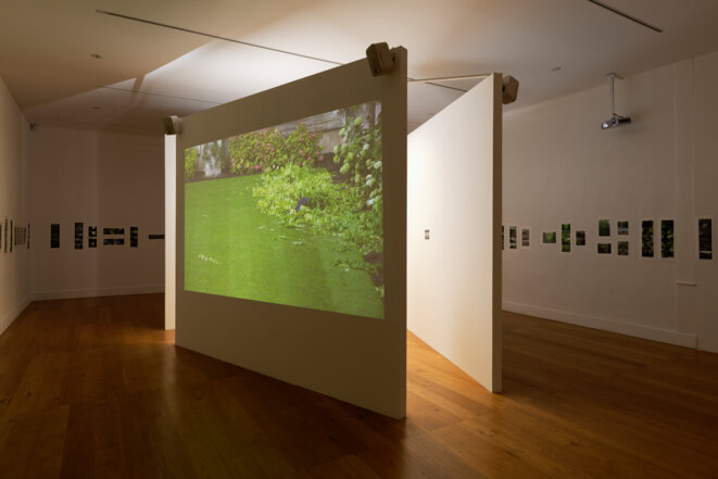 Babette Mangolte, "Eloge du vert", installation, vidéos, photographies, Spaces to SEE. Musée d'art contemporain de la Haute-Vienne, château de Rochechouart, 2019. © Babette Mangolte, Photo : Aurélien Mole Babette Mangolte, "Eloge du vert", installation, vidéos, photographies, Spaces to SEE. Musée d'art contemporain de la Haute-Vienne, château de Rochechouart, 2019. © Babette Mangolte, Photo : Aurélien Mole